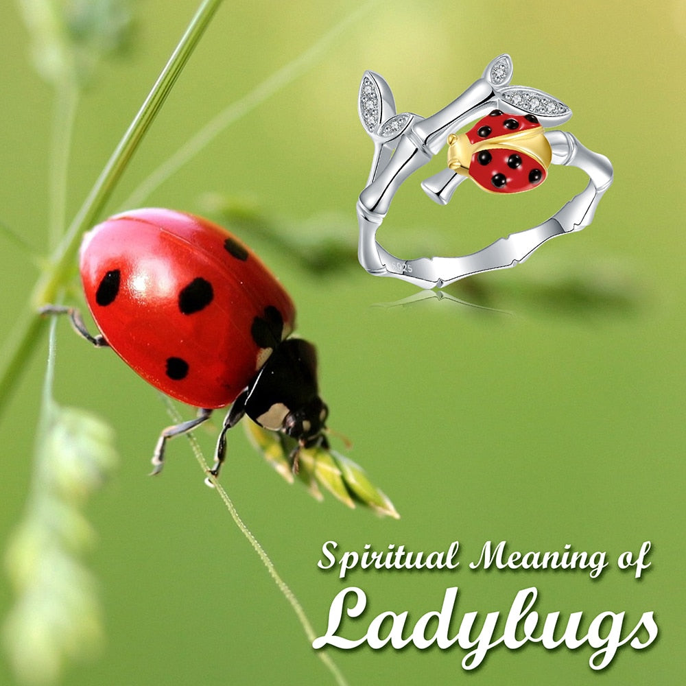 Anello Coccinella in Argento 925 e Zirconi